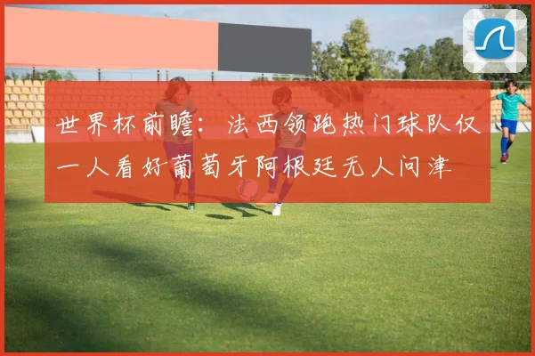 世界杯前瞻：法西领跑热门球队仅一人看好葡萄牙阿根廷无人问津