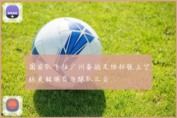 国安队飞往广州备战足协杯张玉宁林良铭明日与球队汇合